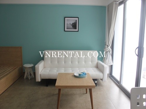 Lovely Studio For Rent In Phu My Hung Area District 7 Ho